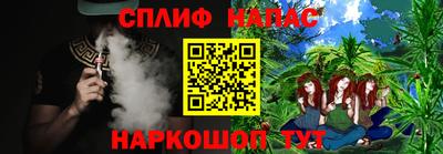 скорость Гатчина